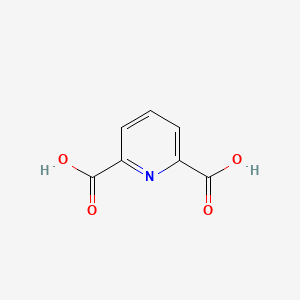 2,6-DICARBOXYPYRIDINE