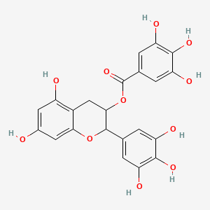 CAMELLIA SINENSIS LEAF EXTRACT