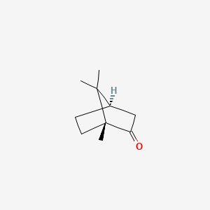 CAMPHOR