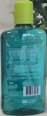 Flux Fruit Mint
