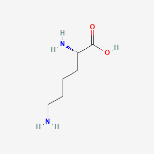 LYSINE