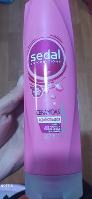 sedal sedal