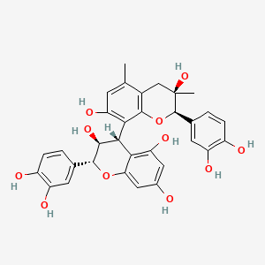 VITIS VINIFERA SEED EXTRACT